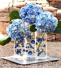 Event Pks Transparent Water Gels Premeasured Kits-Each Fills 5 GL of Gels Floating Your Vase Decorations-No Guessing-Best Results-Not Including Pearls