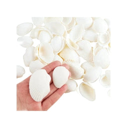 100 Floating Natural White Seashells-White Coral Reef-Pearls-Vivid Aqua Sea Color Gels-Fills 1 Gallon-With Exclusive Measured Gels Prep Bag-Option of 3 Submersible Fairy Lights Strings